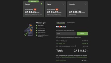 AdGuard VPN Payment Options