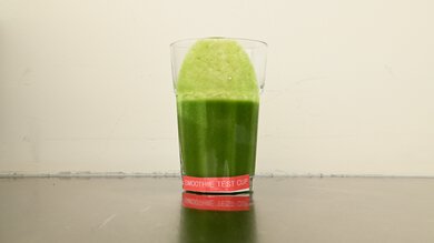Vitamix Alta Pro Fibrous Ingredients (Small Batches) Photo