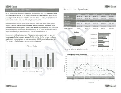 Canon MegaTank MAXIFY GX2020 B&W Document Picture