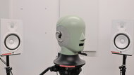 In-Test Picture