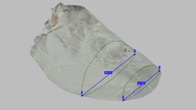 ASICS GT-2000 14 Forefoot Width Photo