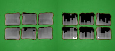 Wolf Gourmet Elite WGCO150S Processed Toast Picture