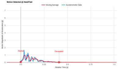 Bear Elite Hybrid Head/Feet Motion Isolation