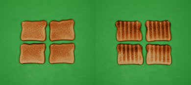Wolf Gourmet Elite WGCO150S Unprocessed Toast Picture
