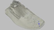 Nike Run Defy Forefoot Height Photo