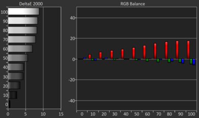 Panasonic W95A Pre White Balance Picture