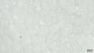 Tracksmith Eliot Ryder Primary Foam Picture