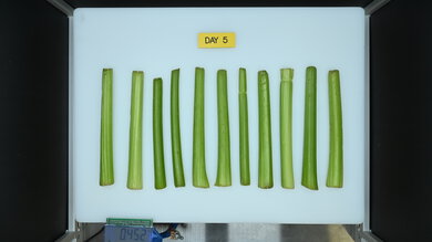 Fisher & Paykel Series 7 RF201AHJSX1 Produce Picture (After)