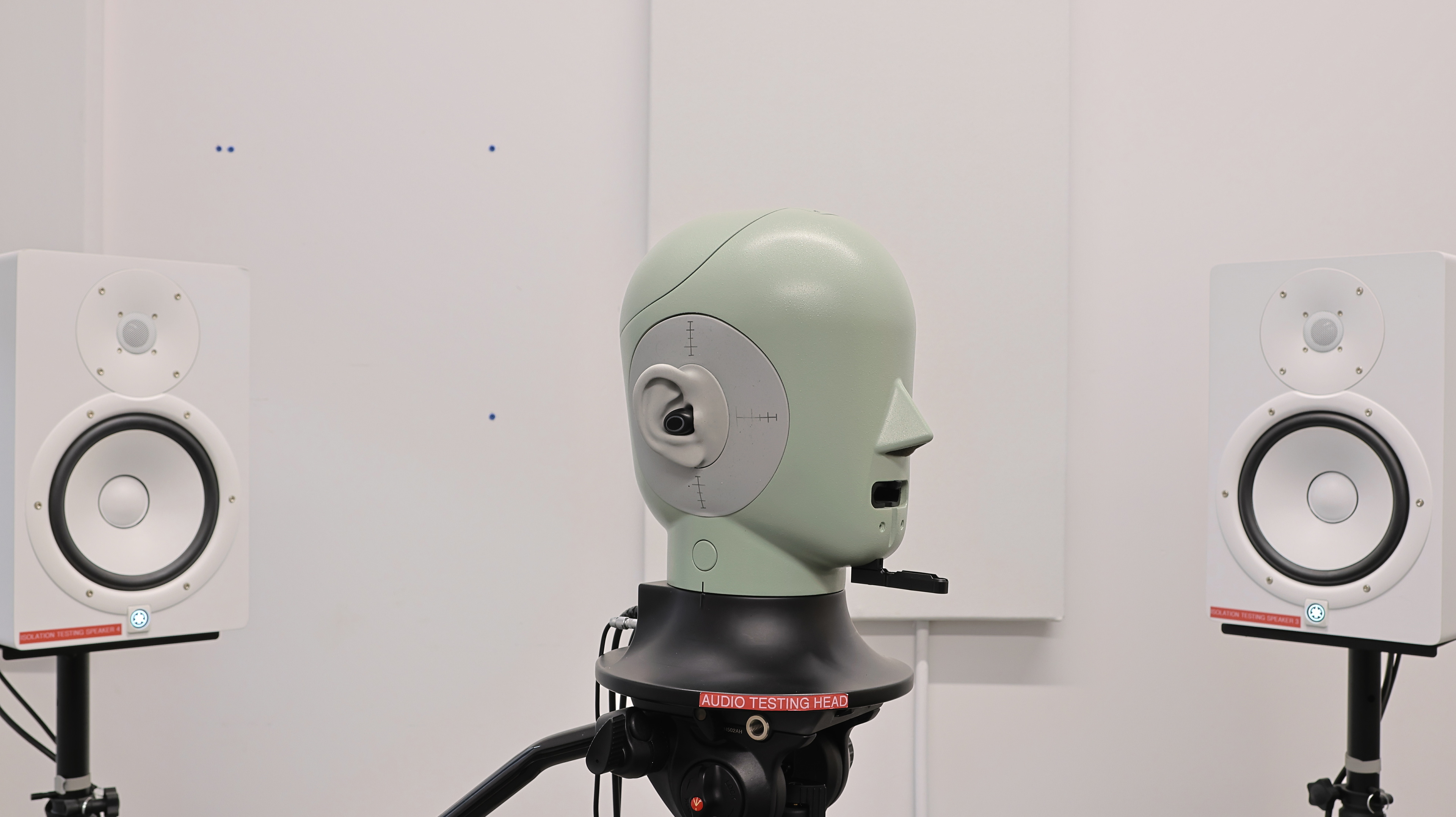 perceptual testing image