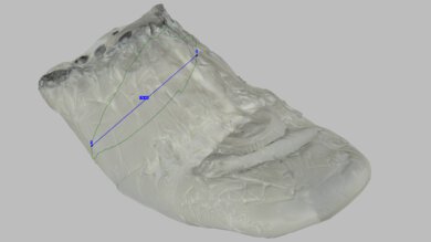 Saucony Endorphin Elite Arch Fit Photo