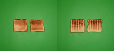 BALMUDA The Toaster Pro Unprocessed Toast Picture