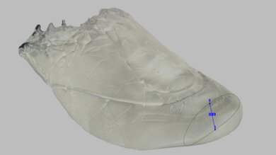 Dynafish Xiaonian Forefoot Height Photo