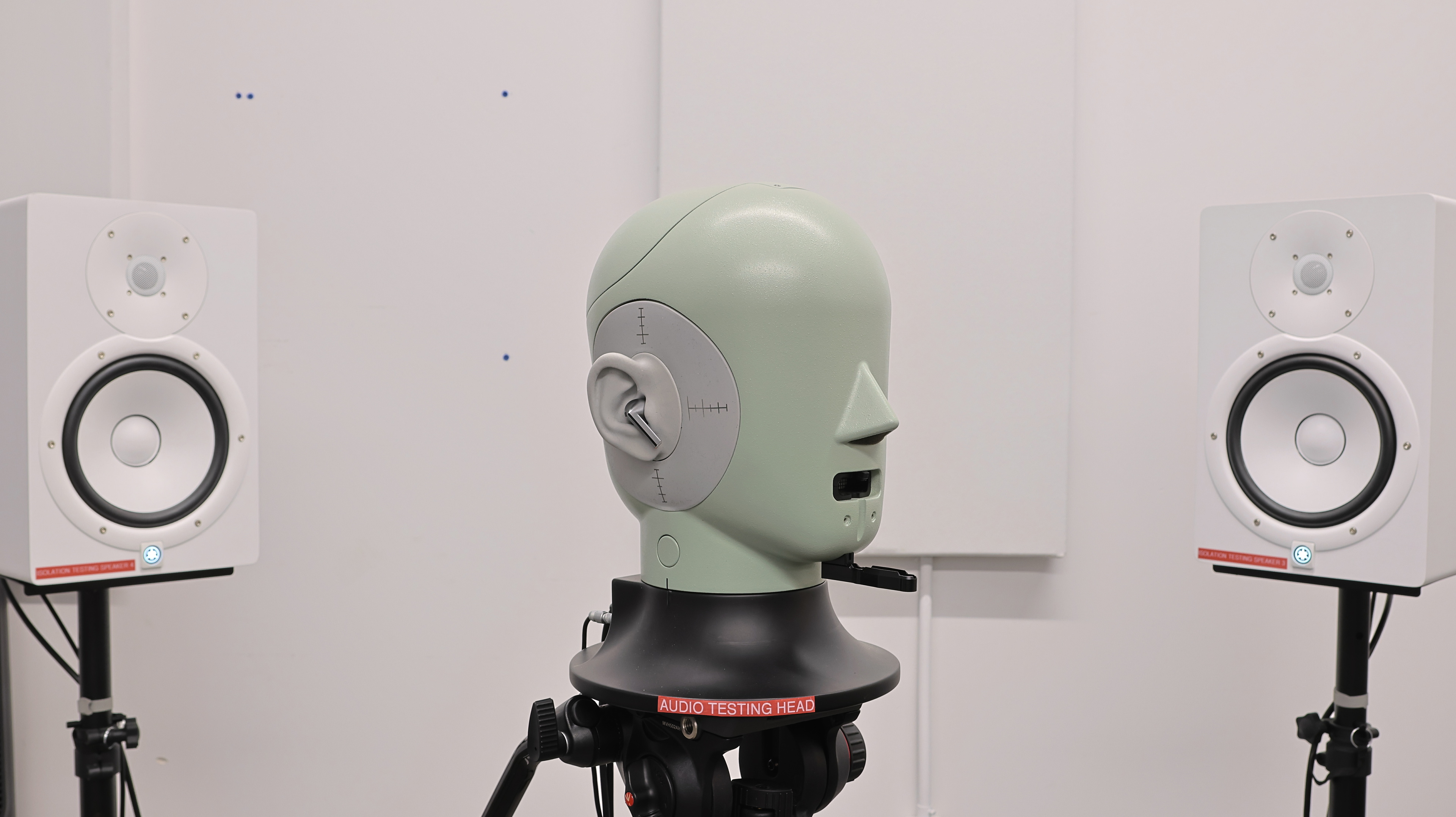 perceptual testing image