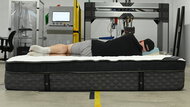 Puffy Monarch Body Conformity Picture 2