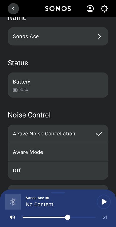 Sonos Ace App Picture
