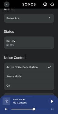 Sonos Ace App Picture