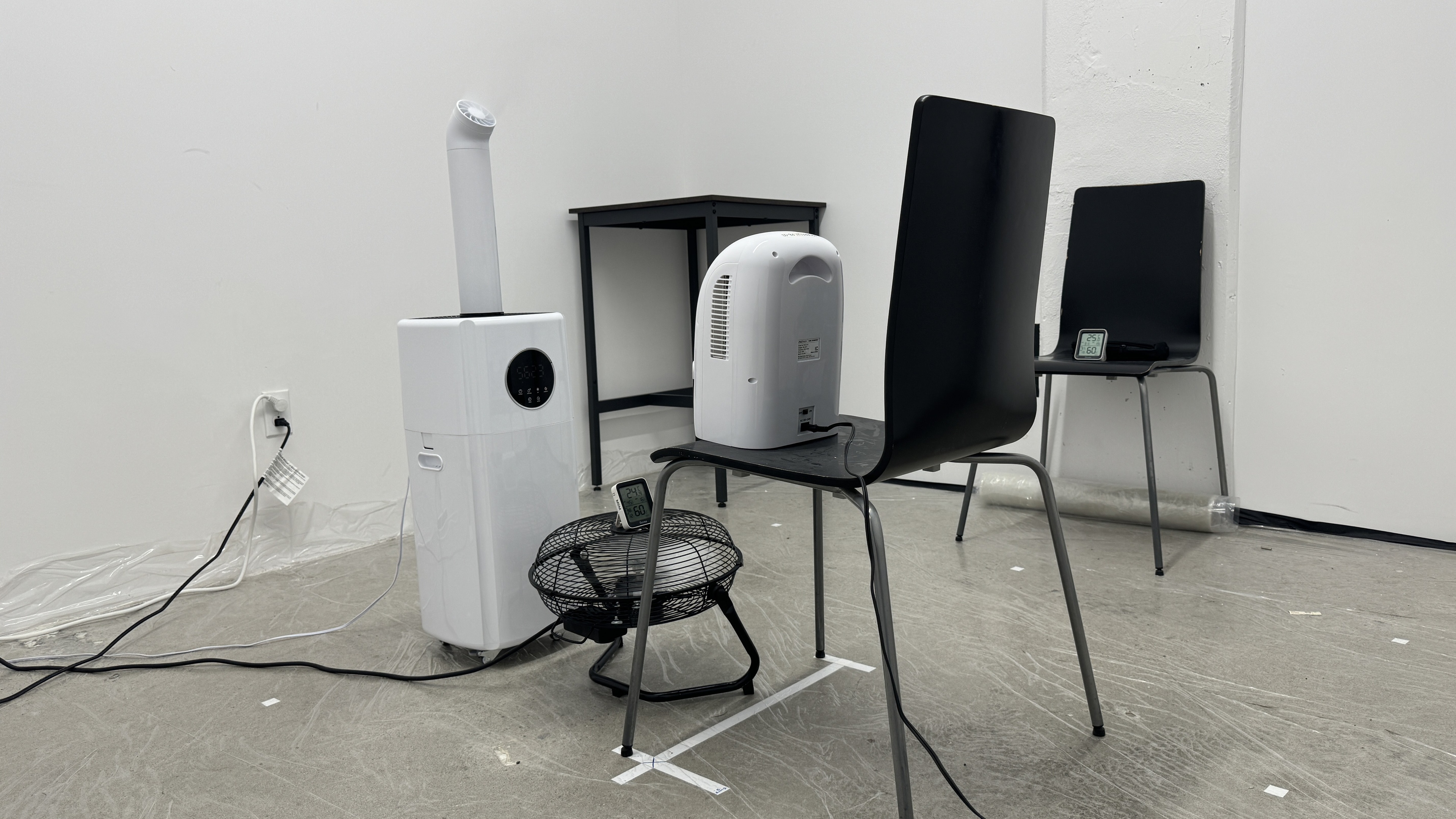 perceptual testing image