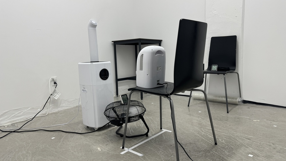 perceptual testing image