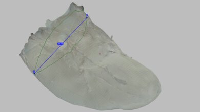 PUMA Fast-FWD NITRO Elite 2 Arch Fit Photo