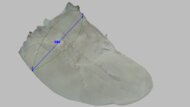 PUMA Fast-FWD NITRO Elite 2 Arch Fit Photo