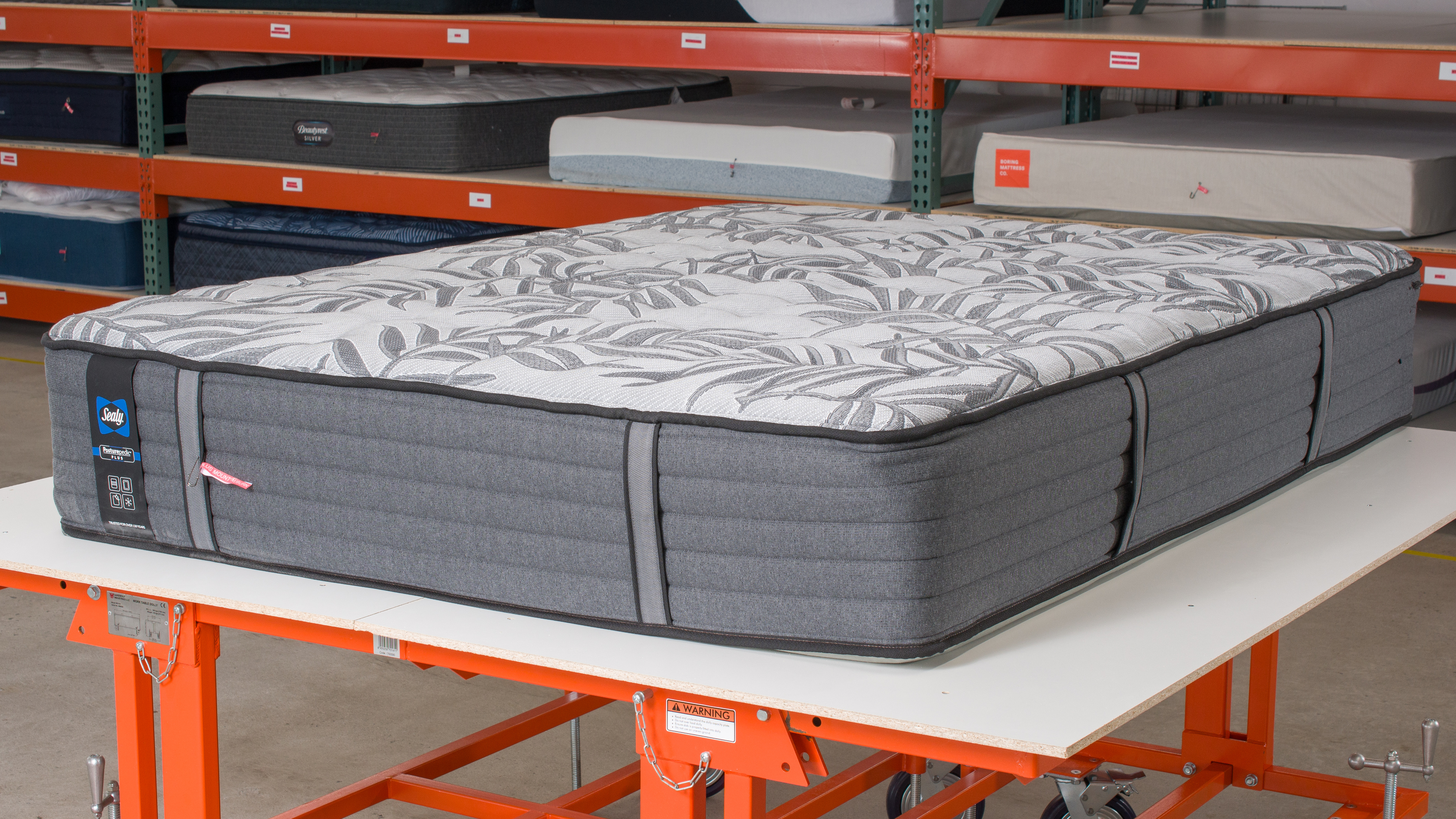 Nectar Classic Hybrid vs Sealy Posturepedic Plus Mount Auburn