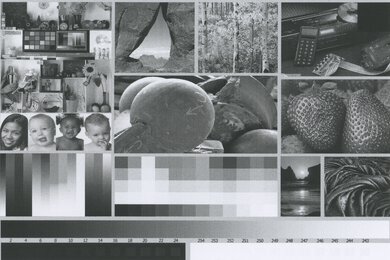 Xerox B210/DNI Side By Side Print/Photo