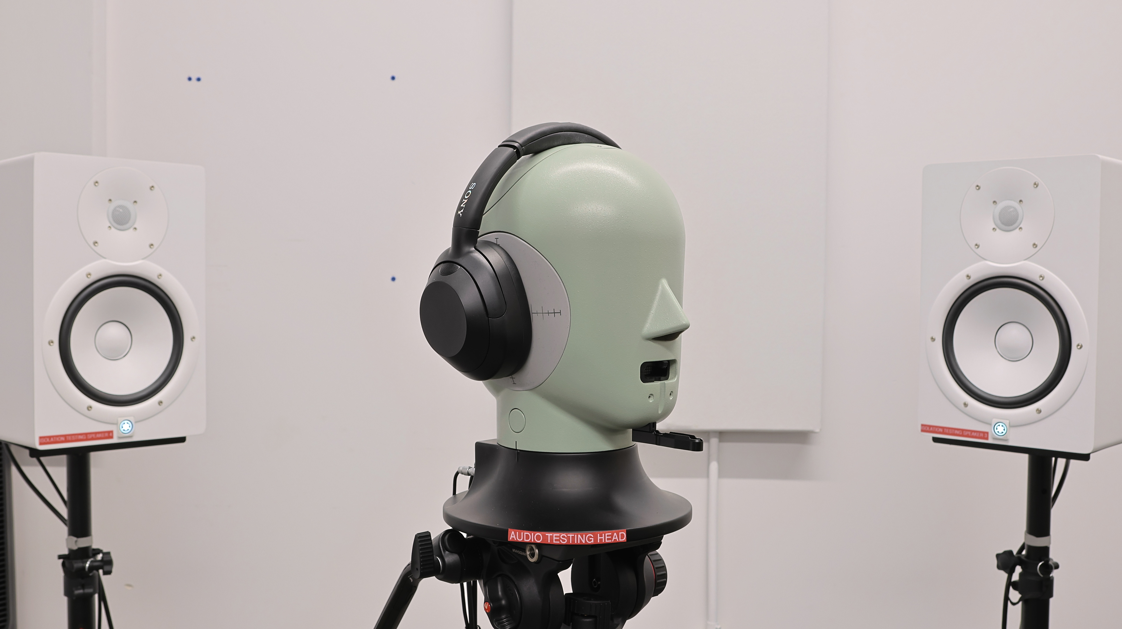 perceptual testing image