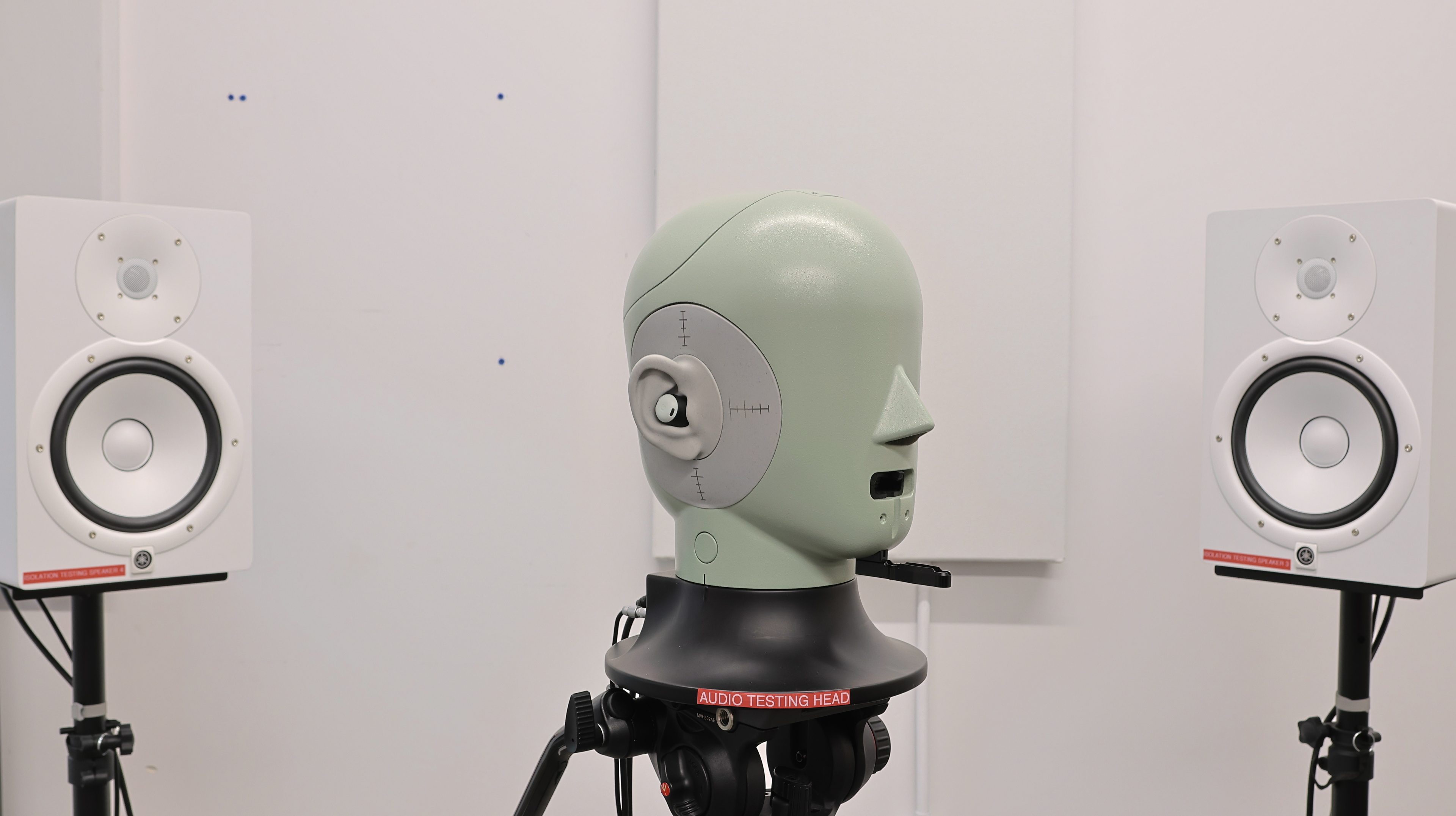 perceptual testing image