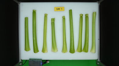 LG LRFS28XBS Produce Picture (Before)