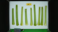 LG LRFS28XBS Produce Picture (Before)