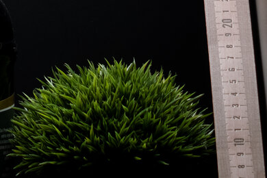 Fujifilm X-T50 Sharpness Scene Crop