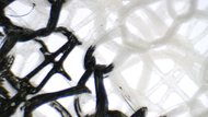 Nike Alphafly 3 Upper Microscope Photo