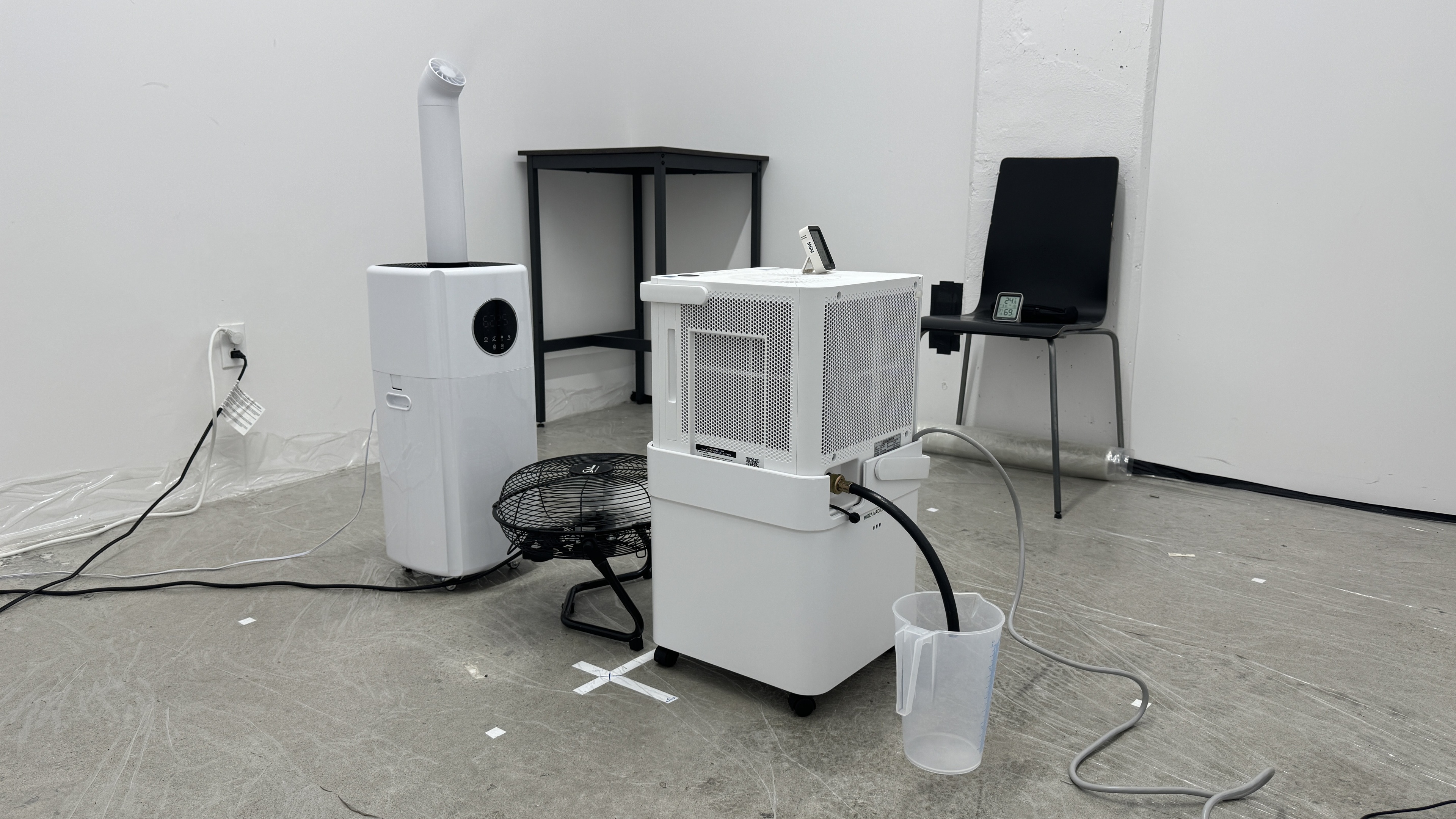 perceptual testing image