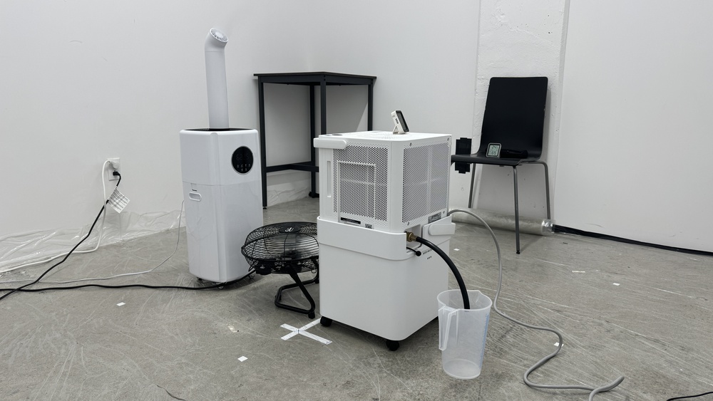 perceptual testing image