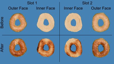 bella basics 2-Slice One-Sided Toasting Photo