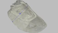 New Balance Fresh Foam 520v9 Arch Fit Photo
