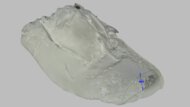 Nike Revolution 8 Forefoot Height Photo