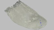 Mizuno Neo Vista 3 Forefoot Height Photo