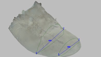 PUMA Fast-FWD NITRO Elite 2 Forefoot Width Photo