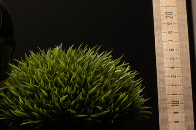 Sony α6400 Sharpness Scene Crop