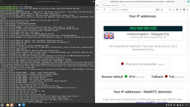 Surfshark VPN Headless OpenVPN Connection Screenshot
