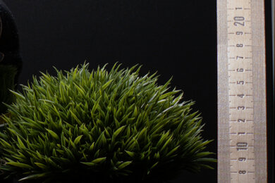 Fujifilm X-T200 Sharpness Scene Crop