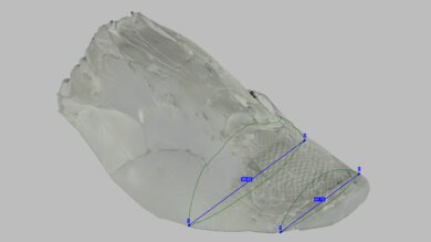 Kiprun KS900 2 Forefoot Width Photo