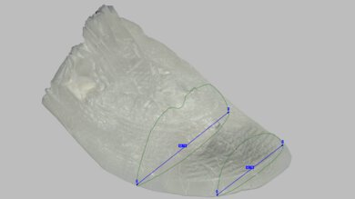 Nike Alphafly 3 Forefoot Width Photo