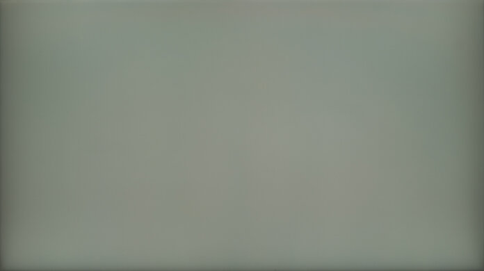 Samsung Smart Monitor M80B S32BM80 50% Uniformity Picture