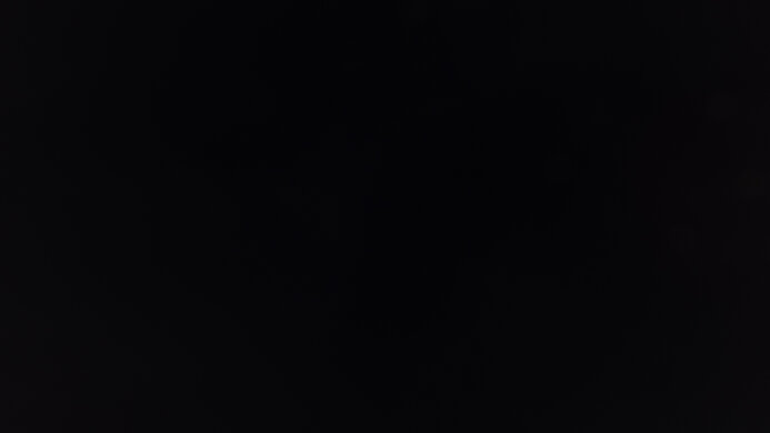 ASUS TUF Gaming VG27AQL1A Black Level Raise Picture