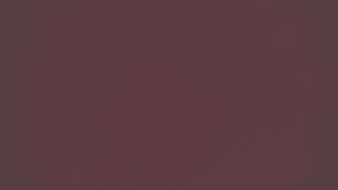 Dell Alienware AW3425DW Black Level Raise Picture