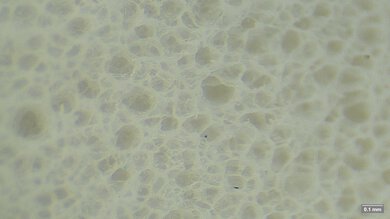 Nike Structure Plus Secondary Foam Picture
