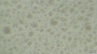 Nike Structure Plus Secondary Foam Picture