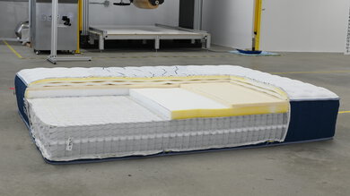 Bear Elite Hybrid Style Picture